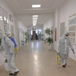 dezynsekcja piaseczno, likwiadacja gniazd os piaseczno, likwidacja gniazd serszeni piaseczno, zwalczanie karaluchów piaseczno