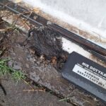 deratyzacja warszawa, zwalczanie myszy warszawa, zwalczanie szczurów warszawa